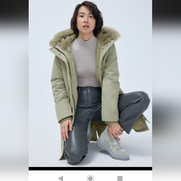 Wilfred Aritzia Mont Blanc Parka - Picture 6 of 16